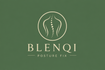 Blenqi Posture fix  - Home